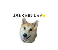 829504884