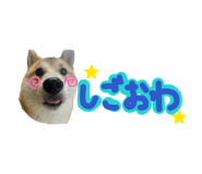 829504889