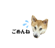829504891