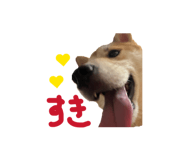 829504893