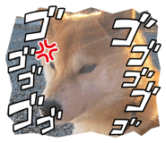 829504934