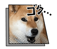 829504939