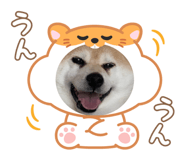829504945
