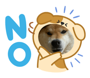 829504946