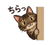829525618