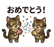 829525634