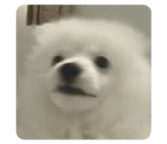 829543761