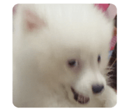 829543768