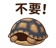 829543955