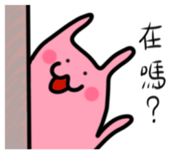 829553077