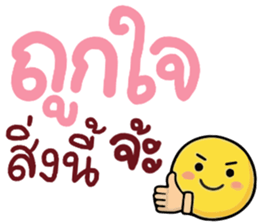 N9: ยิ้มเป็นกำลังใจ จ้ะ รูปที่ 3
