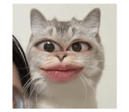 829559785