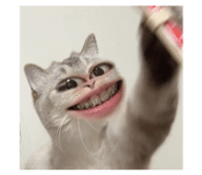 829559786