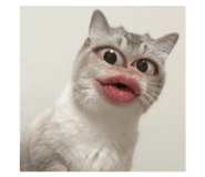 829559787