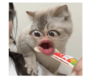 829559788
