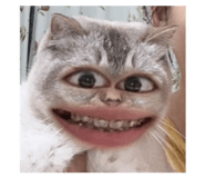 829559797