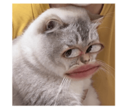 829559798
