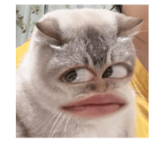 829559799