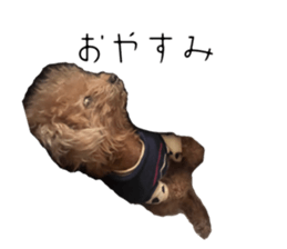 829564004