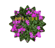 829572149