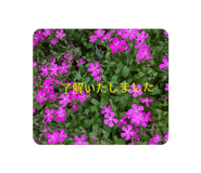 829572150