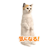 829642553