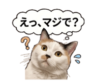 829642555