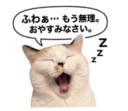 829642559