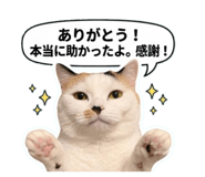 829642560