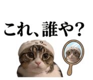 829643120