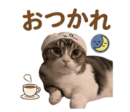829643121
