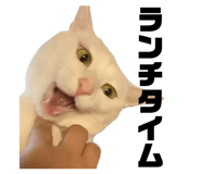 829646023
