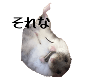 829688506