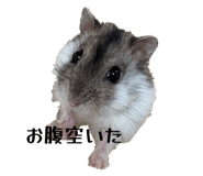 829688508