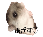 829688511