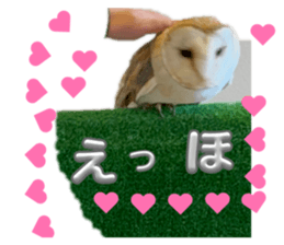 829696397