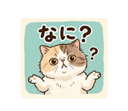 829699541