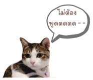 829700632