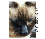 829702659