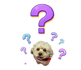 829704540