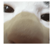 829707178