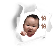 829707394