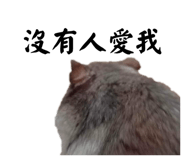 829709371
