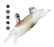 829720145