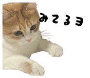 829720150