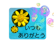 829750994