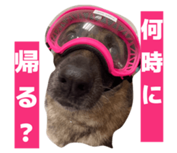 829754175