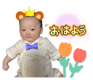 829776716
