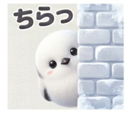 829781242