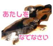 829783153